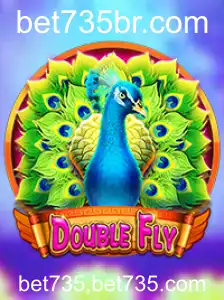 Descubra o Mundo de DoubleFly: Inovação e Estratégia